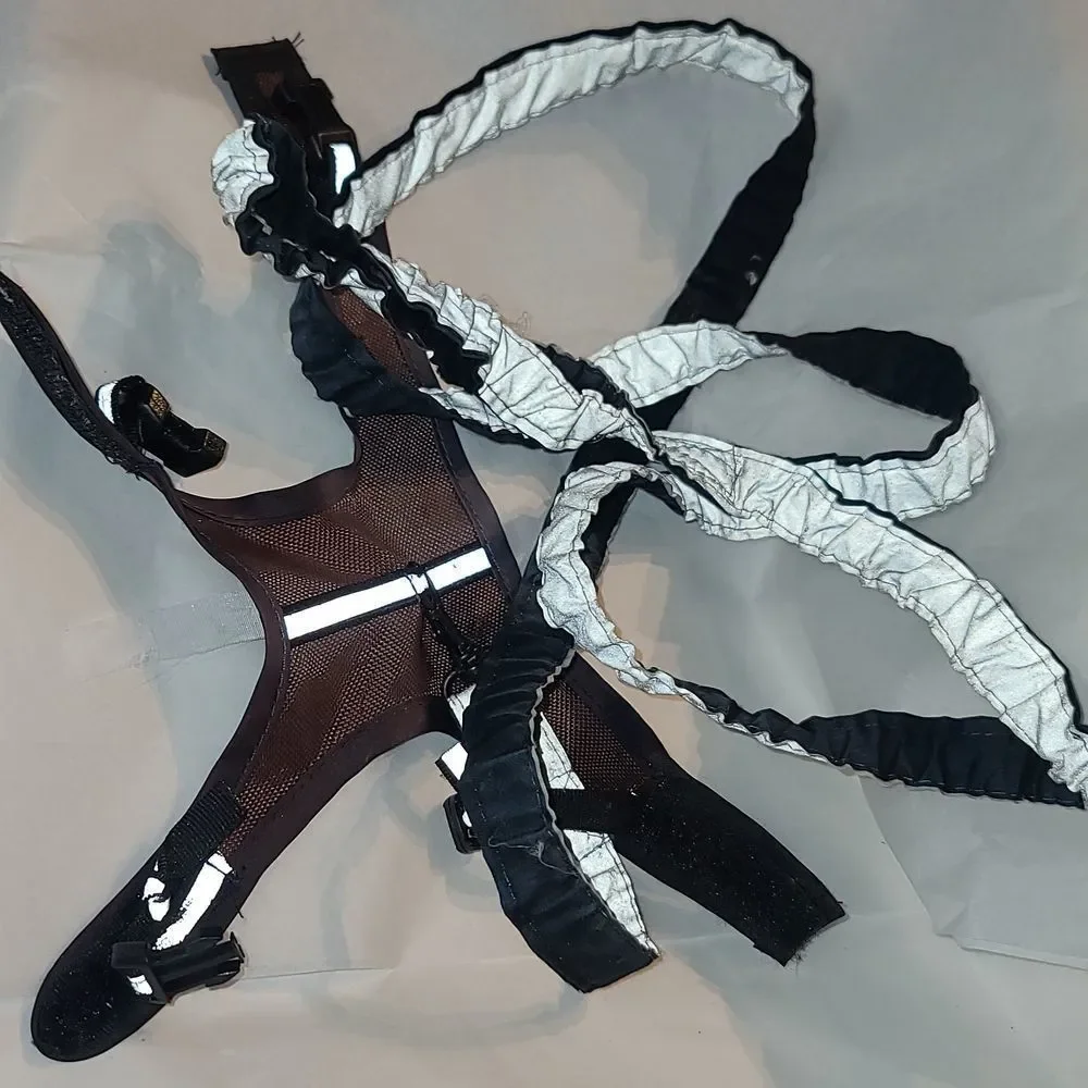 Small animal harness